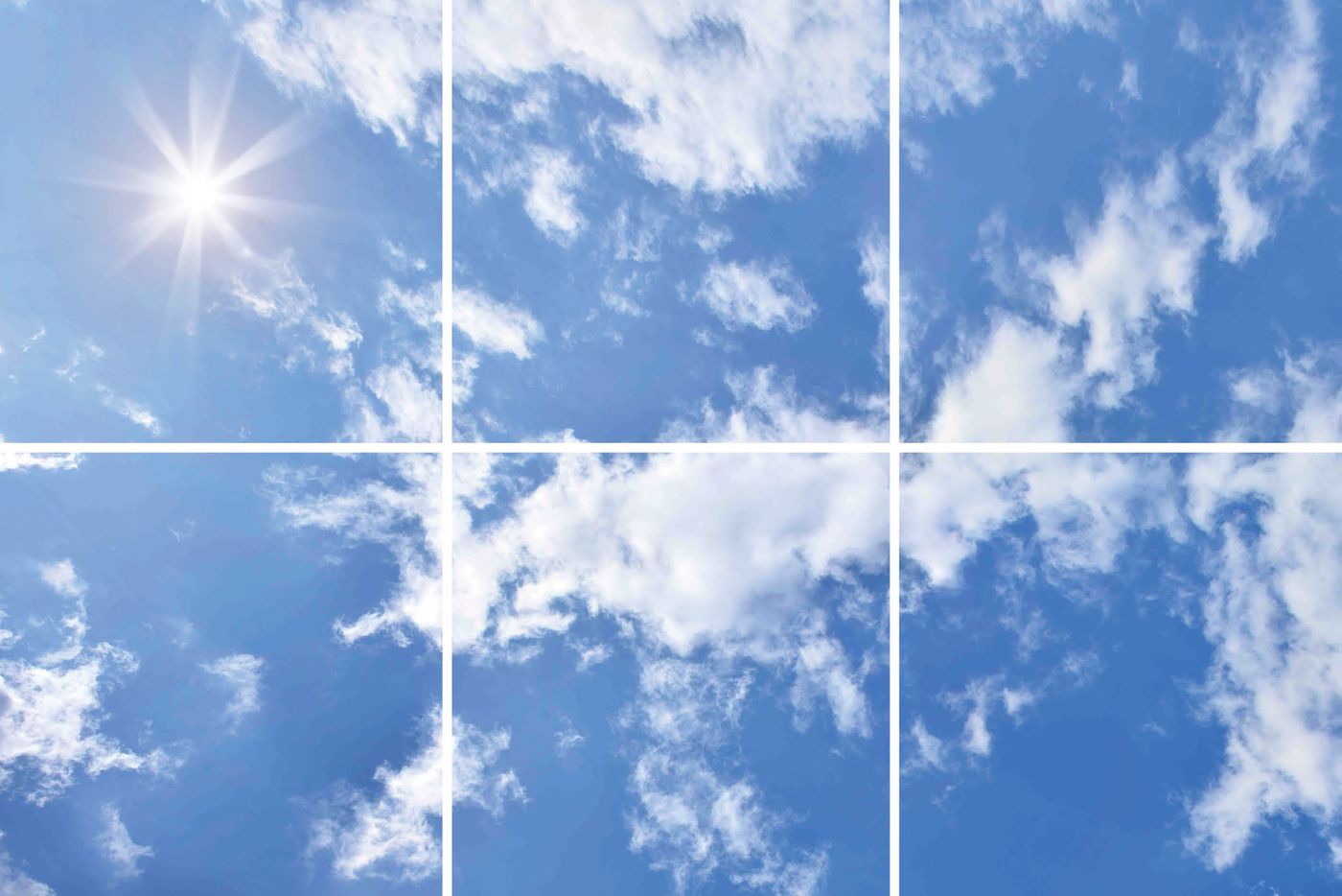 6 panelen (3x2)