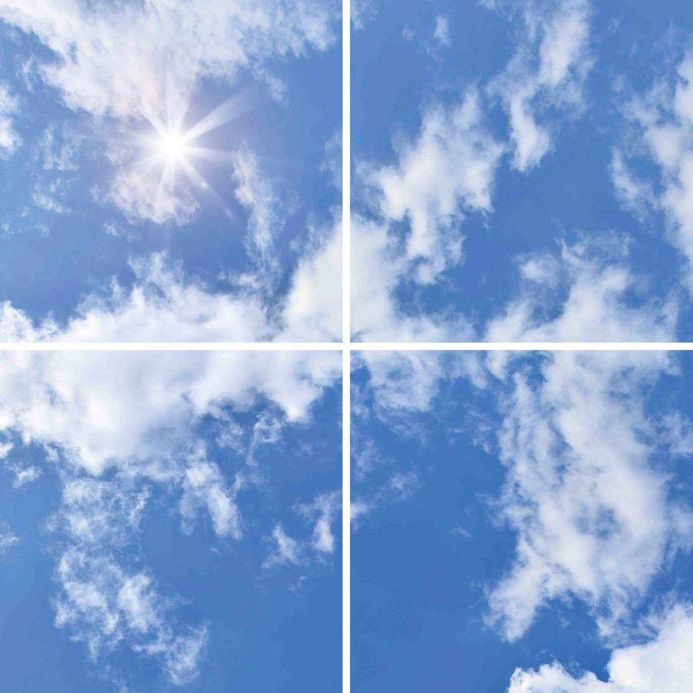 4 panelen (2x2)