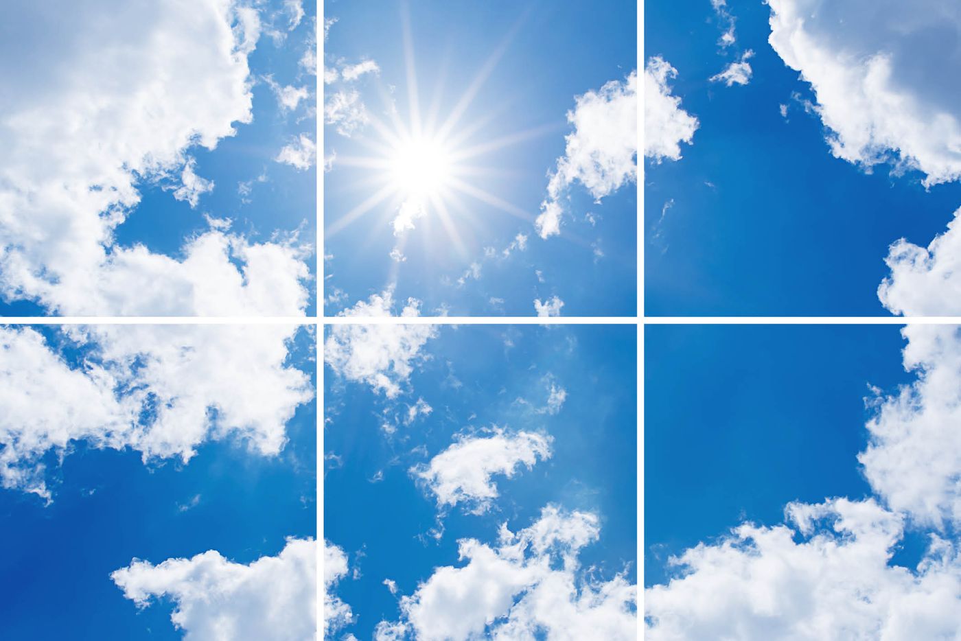 6 panelen (3x2)