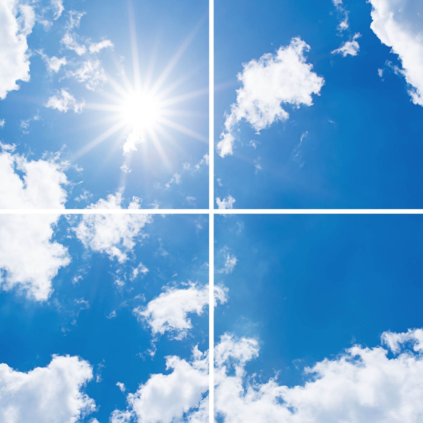 4 panelen (2x2)
