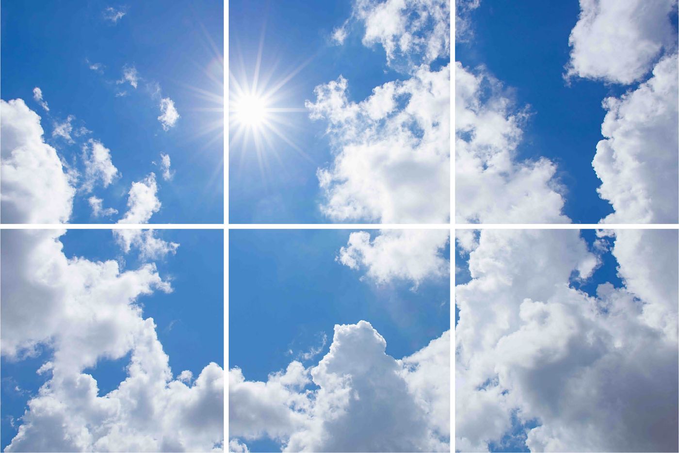 6 panelen (3x2)