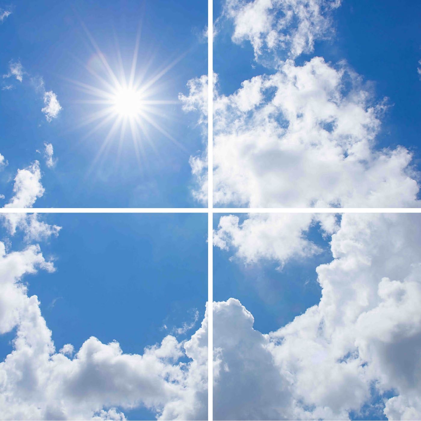 4 panelen (2x2)