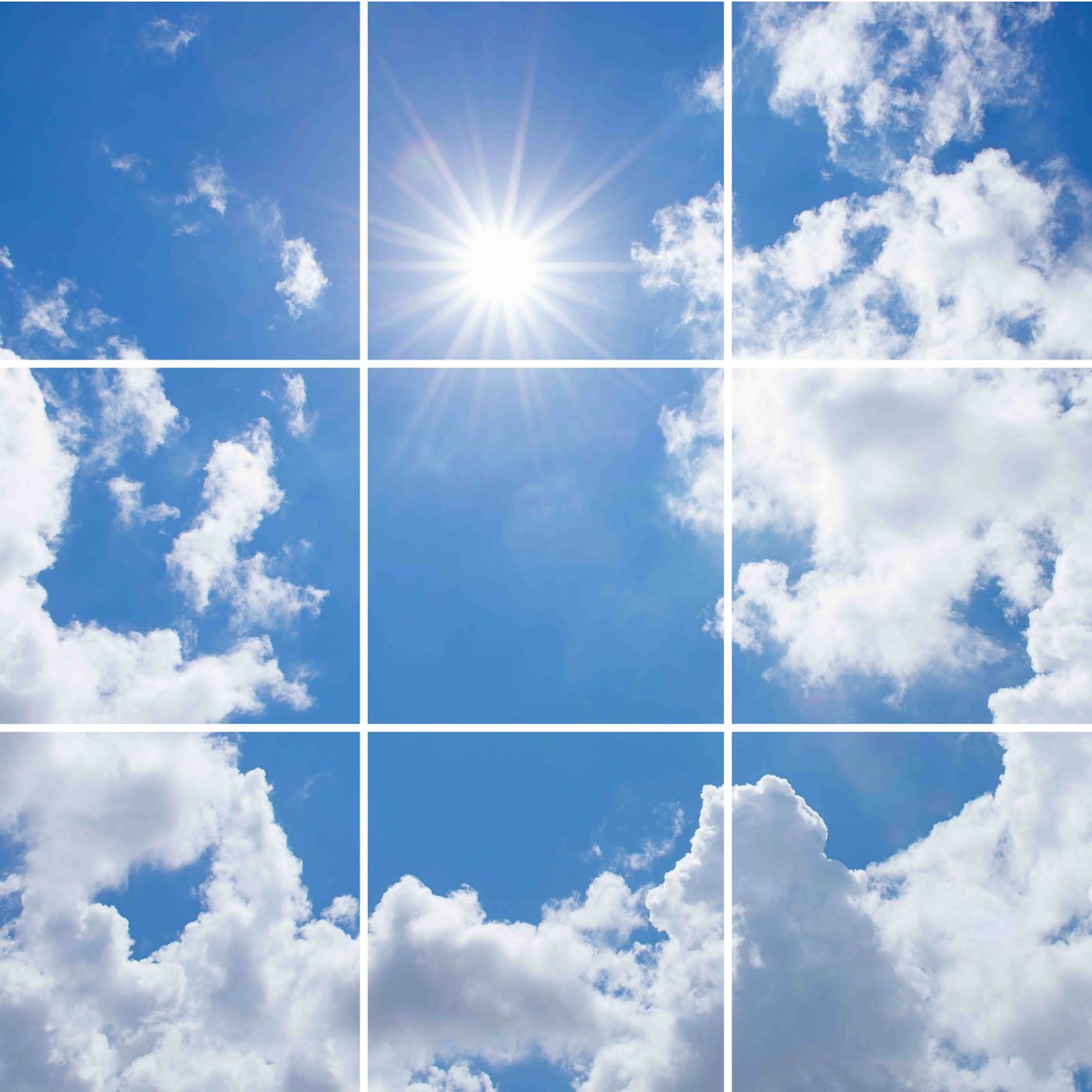 9 panelen (3x3)
