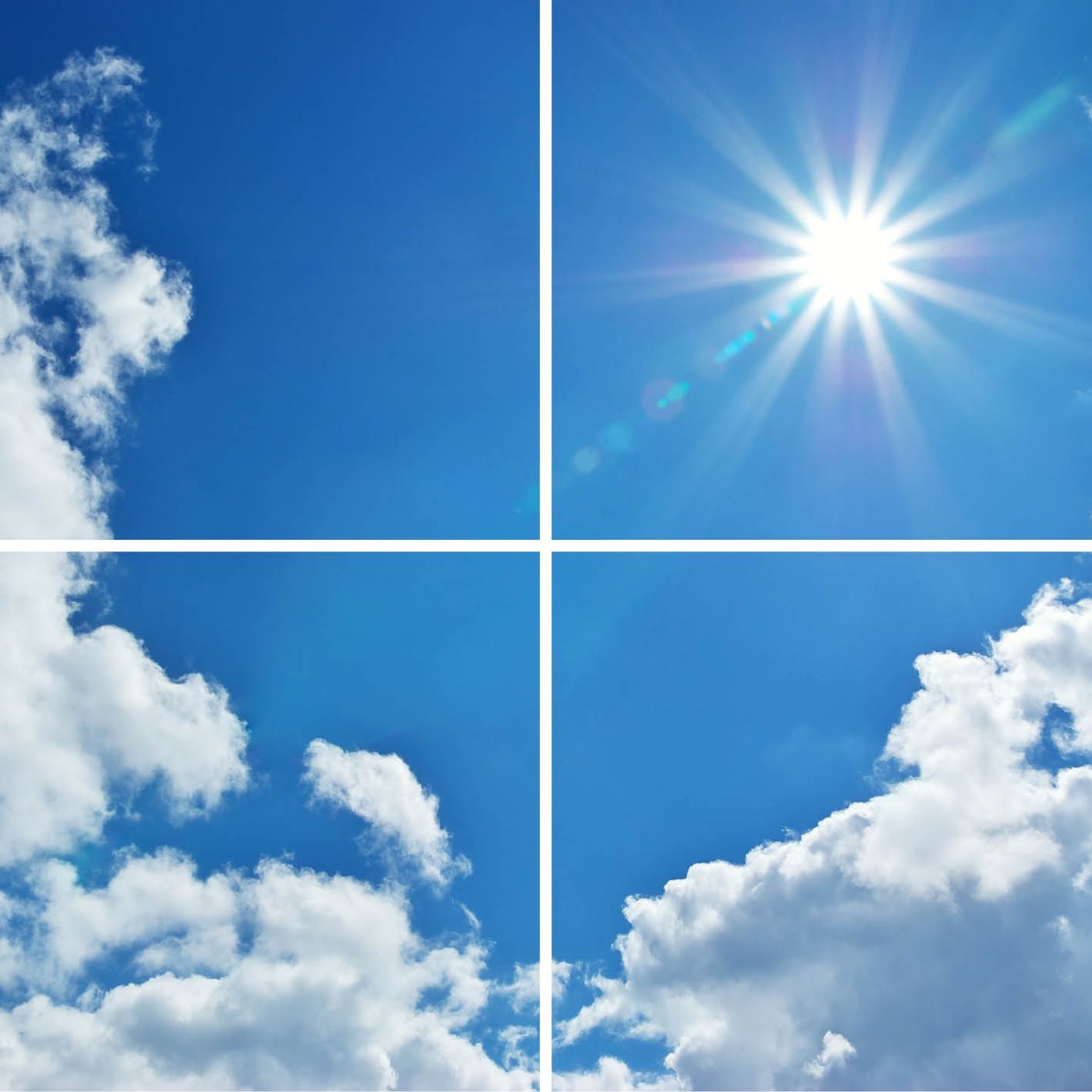 4 panelen (2x2)