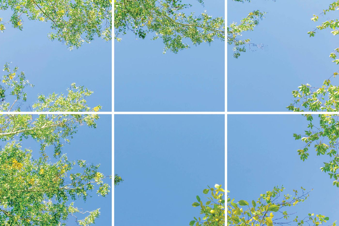 6 panelen (3x2)