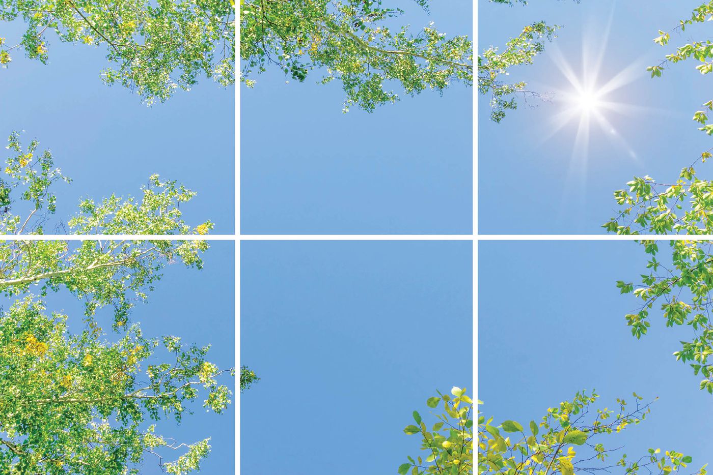 6 panelen (3x2), samenstelling 2