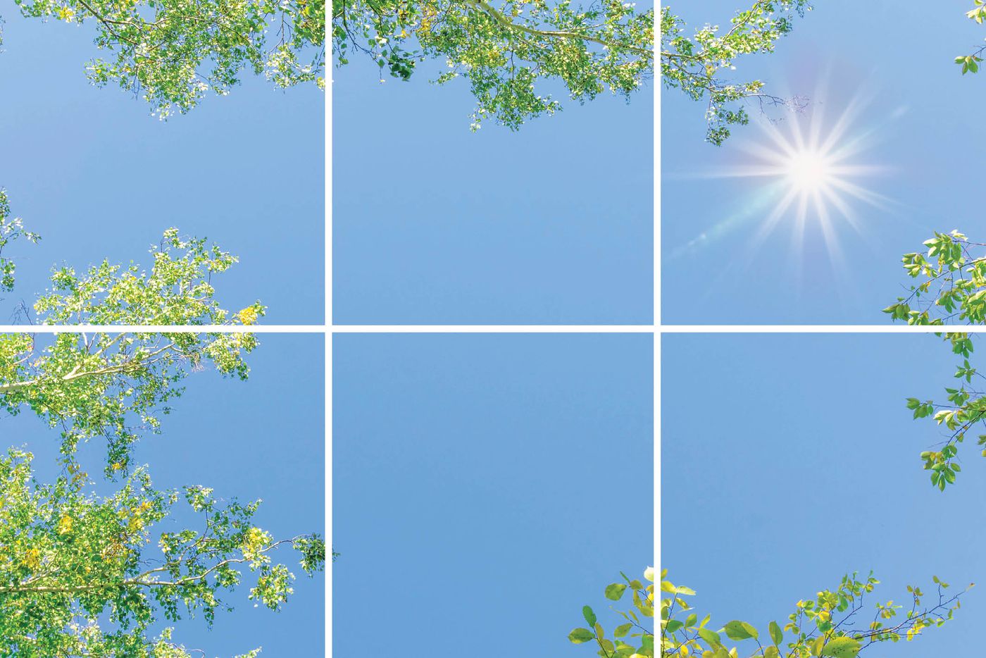 6 panelen (3x2), samenstelling 3