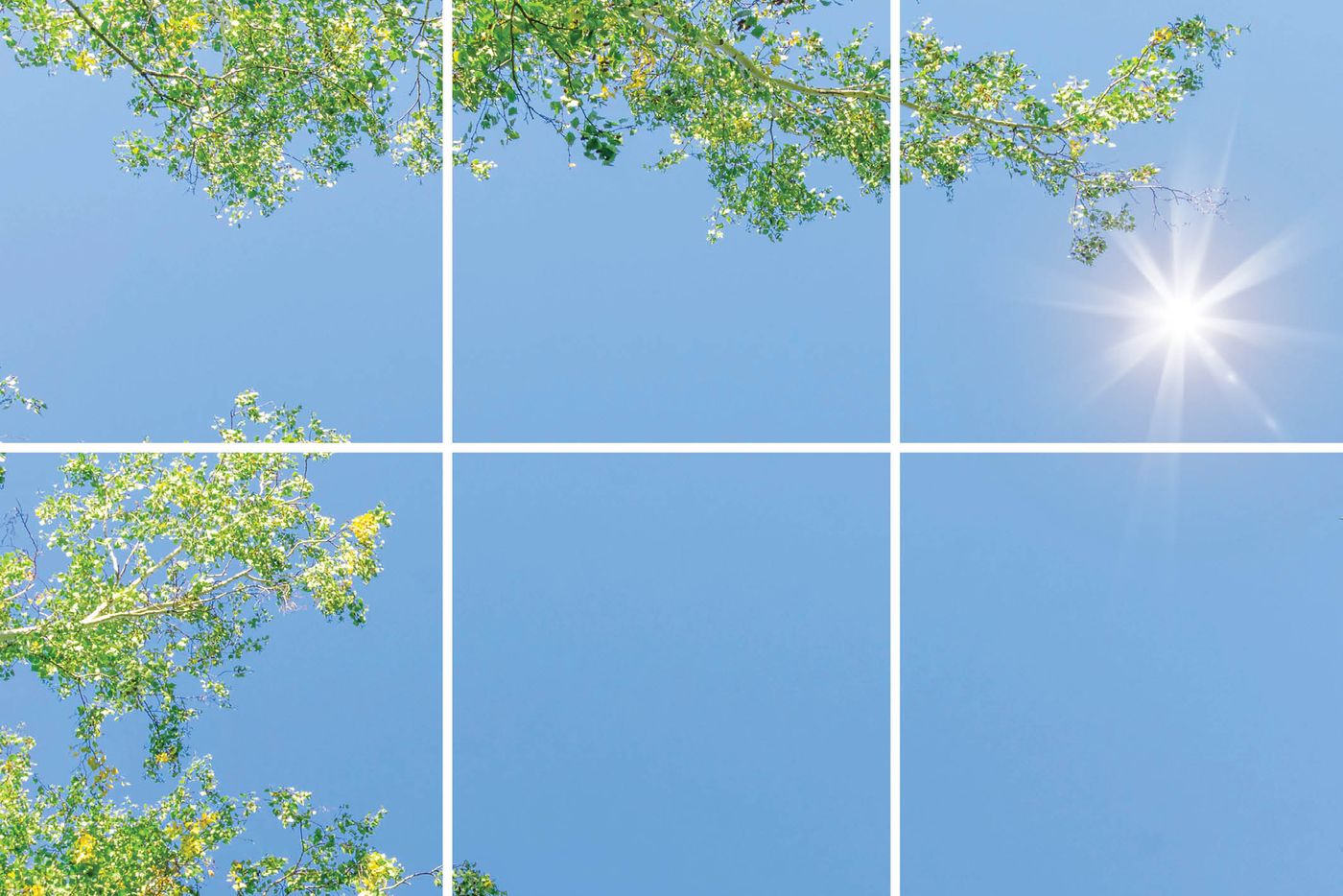6 panelen (3x2), samenstelling 4