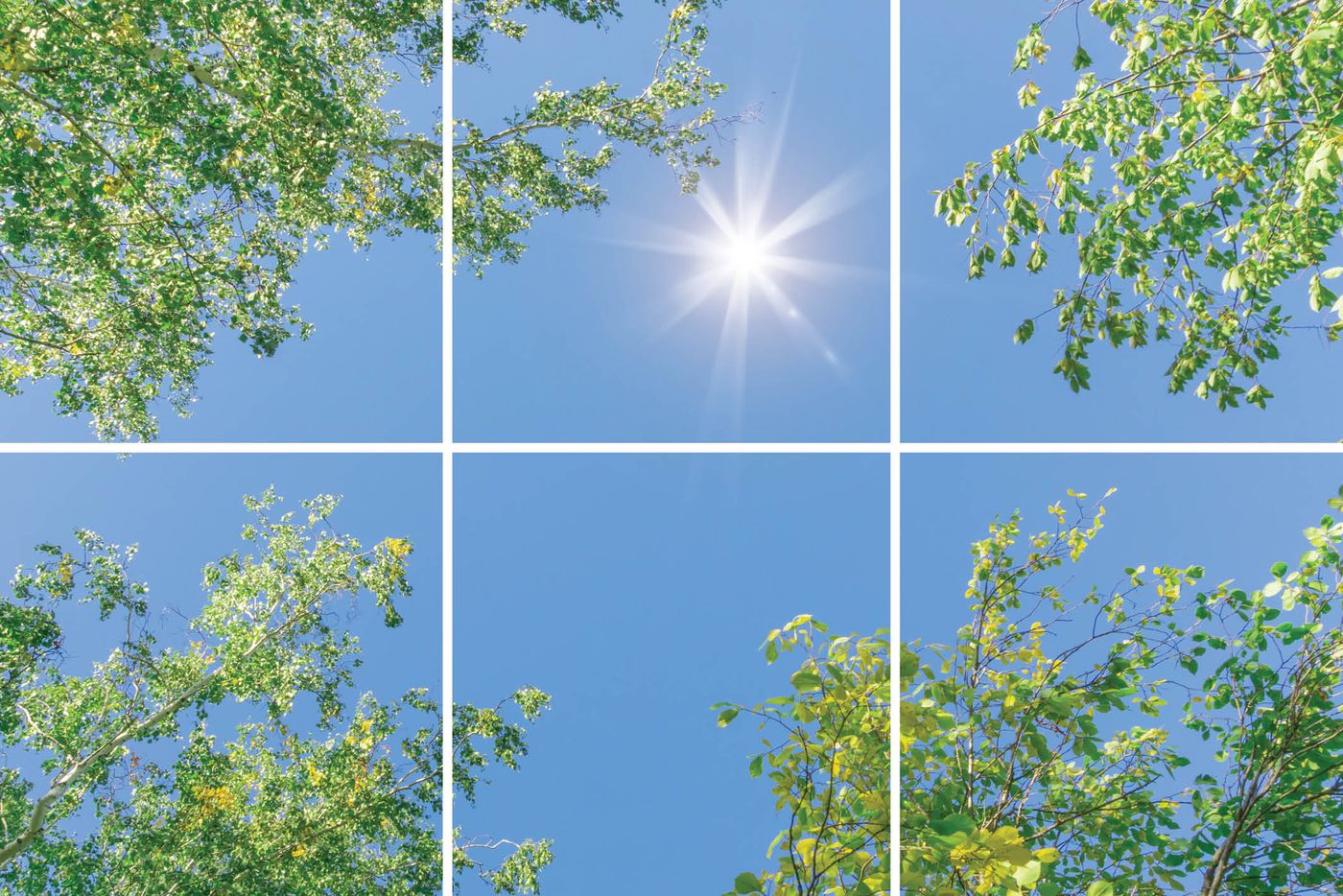 6 panelen (3x2), samenstelling 6