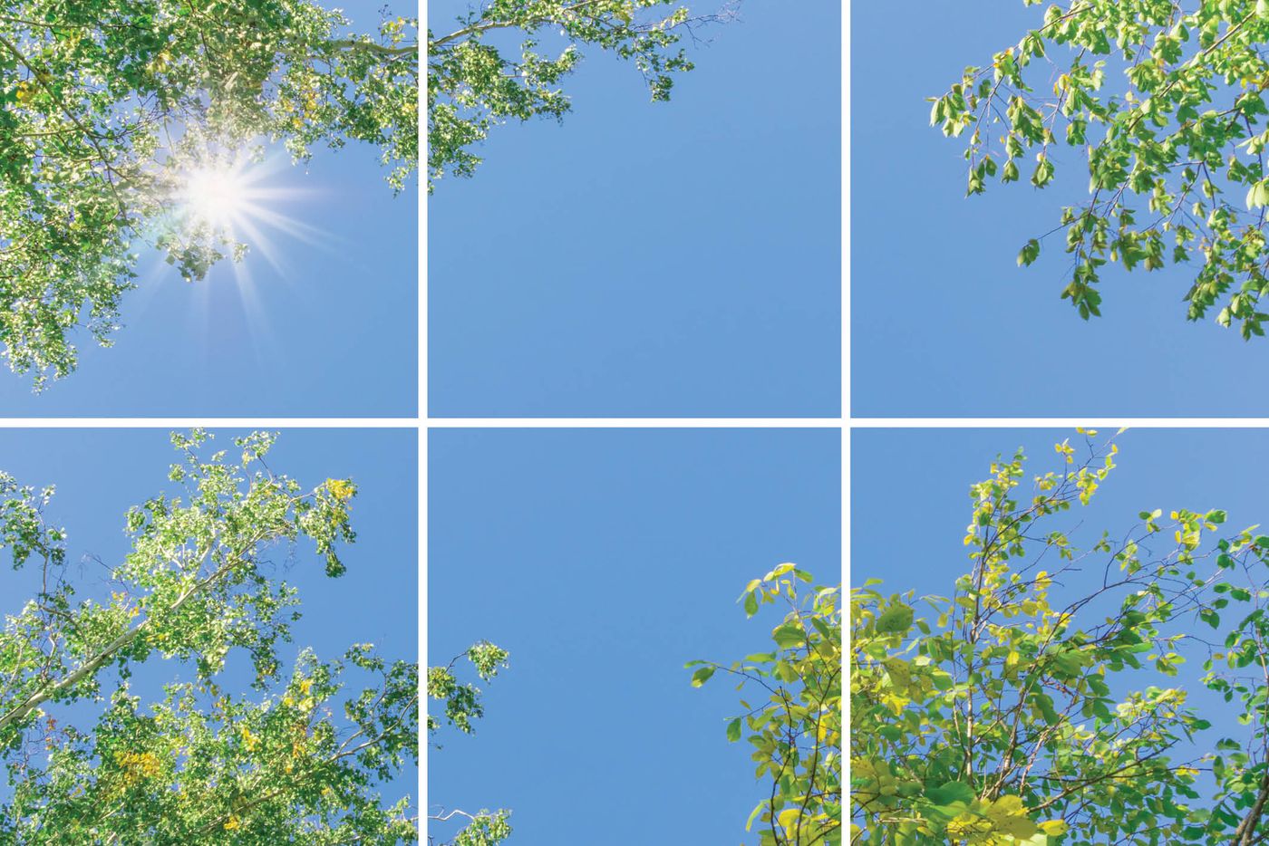 6 panelen (3x2), samenstelling 7