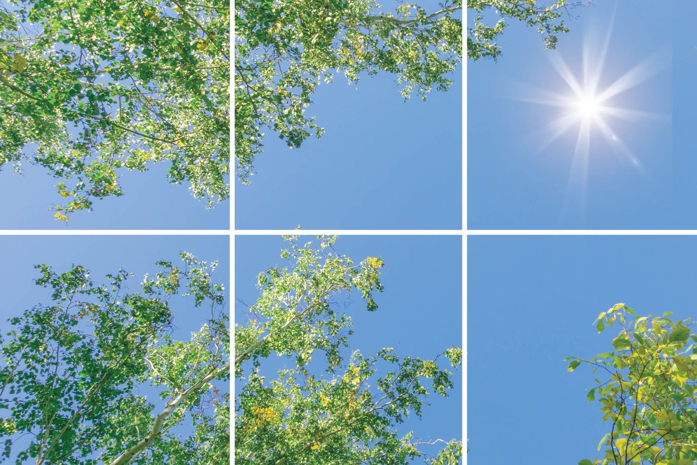 6 panelen (3x2), samenstelling 8