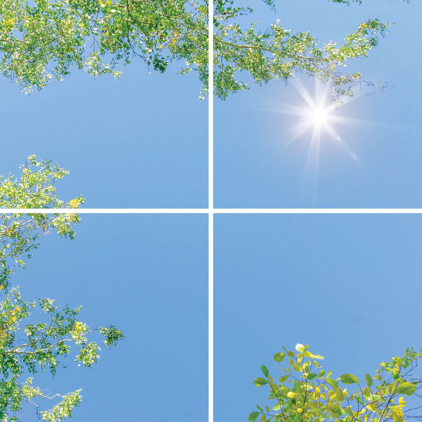 4 panelen (2x2)