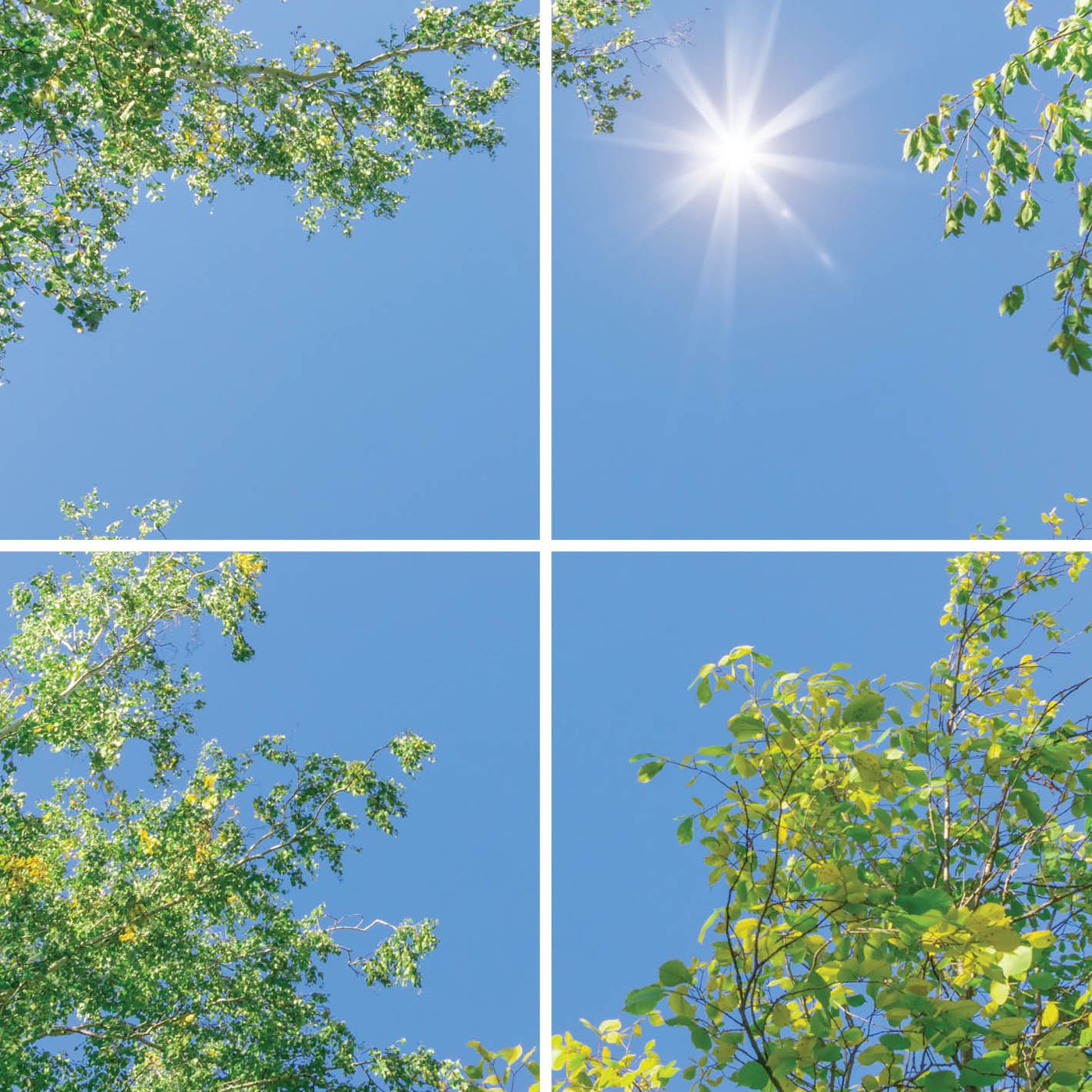 4 panelen (2x2), samenstelling 2