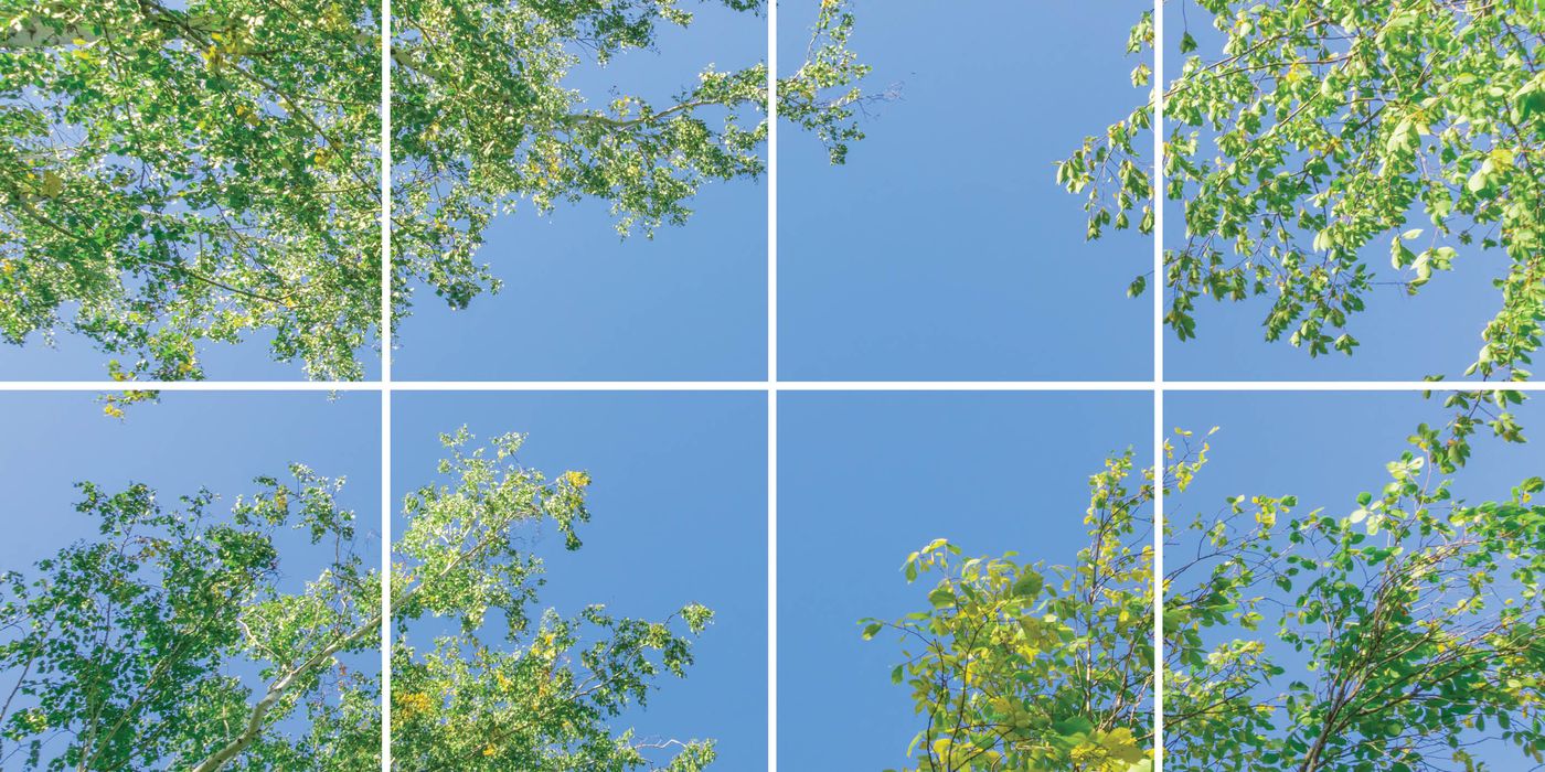 8 panelen (4x2), samenstelling 2
