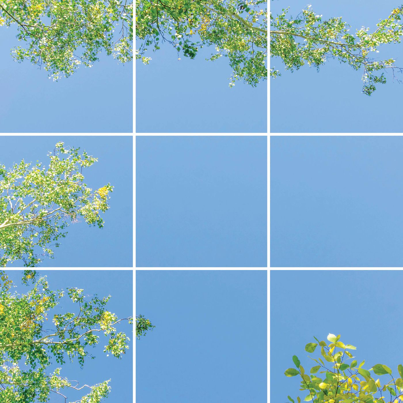 9 panelen (3x3)