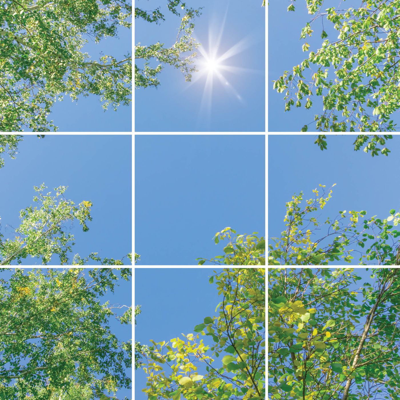 9 panelen (3x3), samenstelling 2