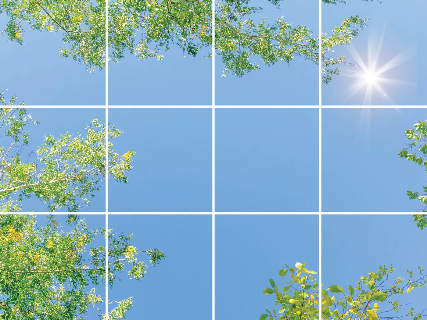 12 panelen (4x3)