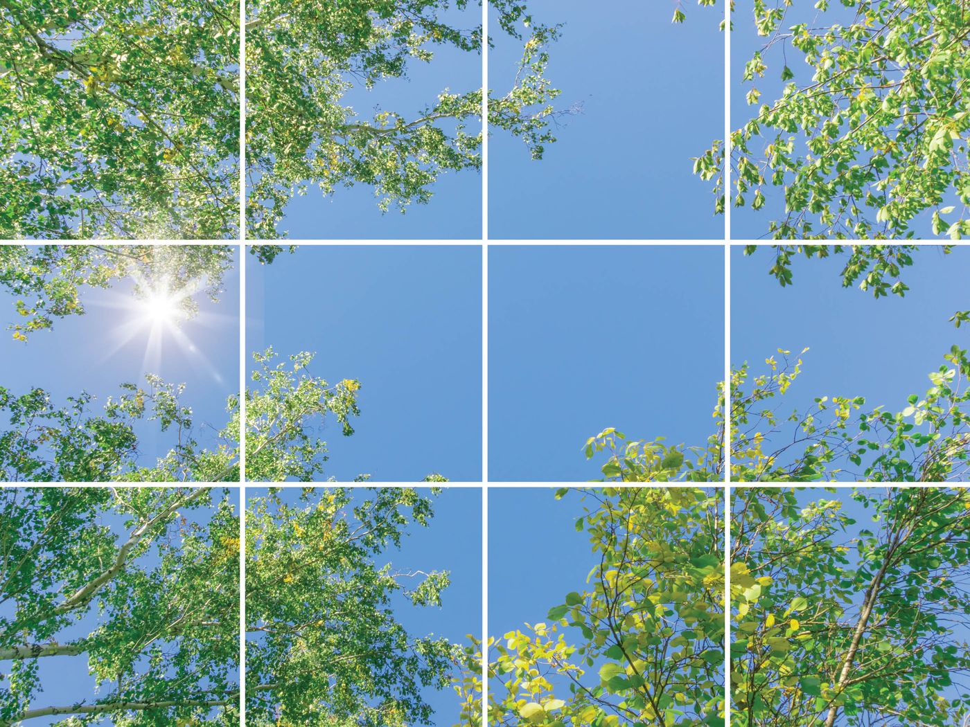 12 panelen (4x3), samenstelling 2