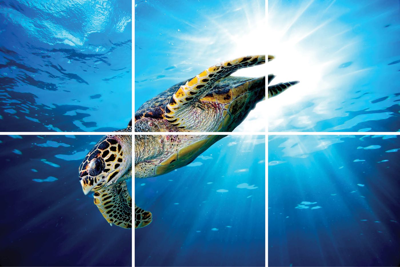 6 panelen (3x2)
