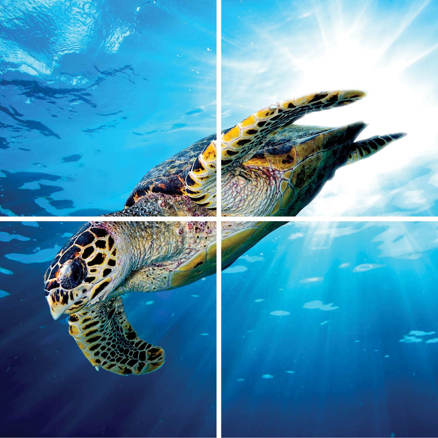 4 panelen (2x2)