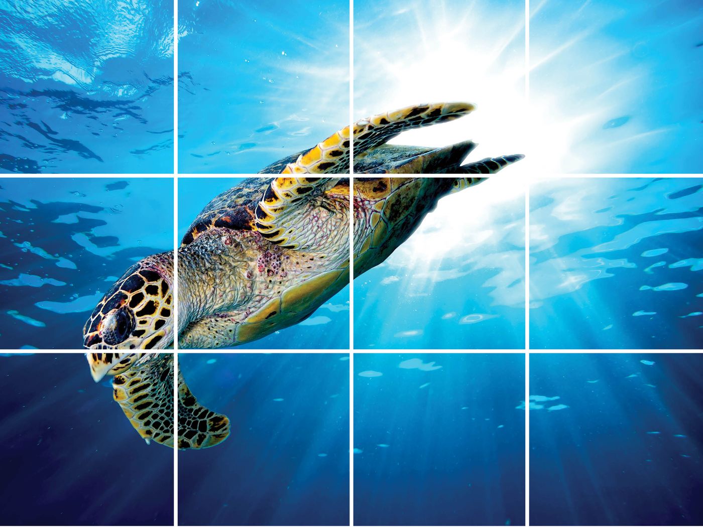 12 panelen (4x3)