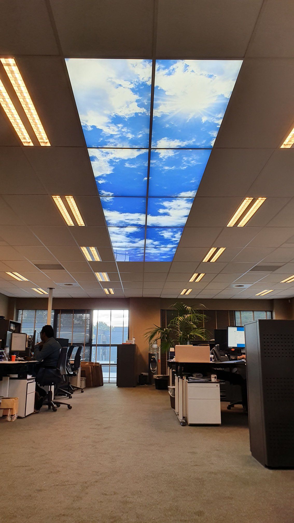 Kantoor met wolkenplafond