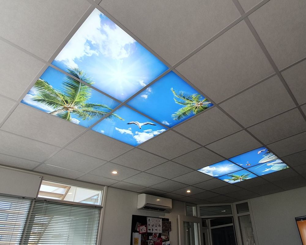 Wolkenplafond met palmbomen
