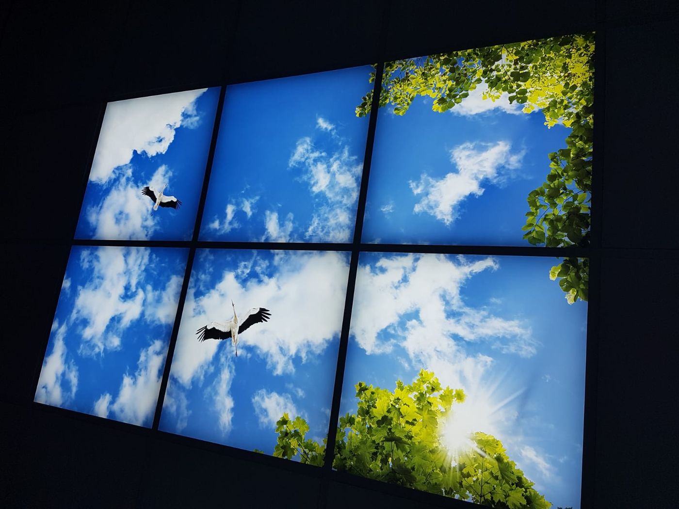 Wolkenplafond met vogels